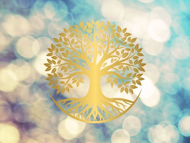 Constellations familiales individuelles